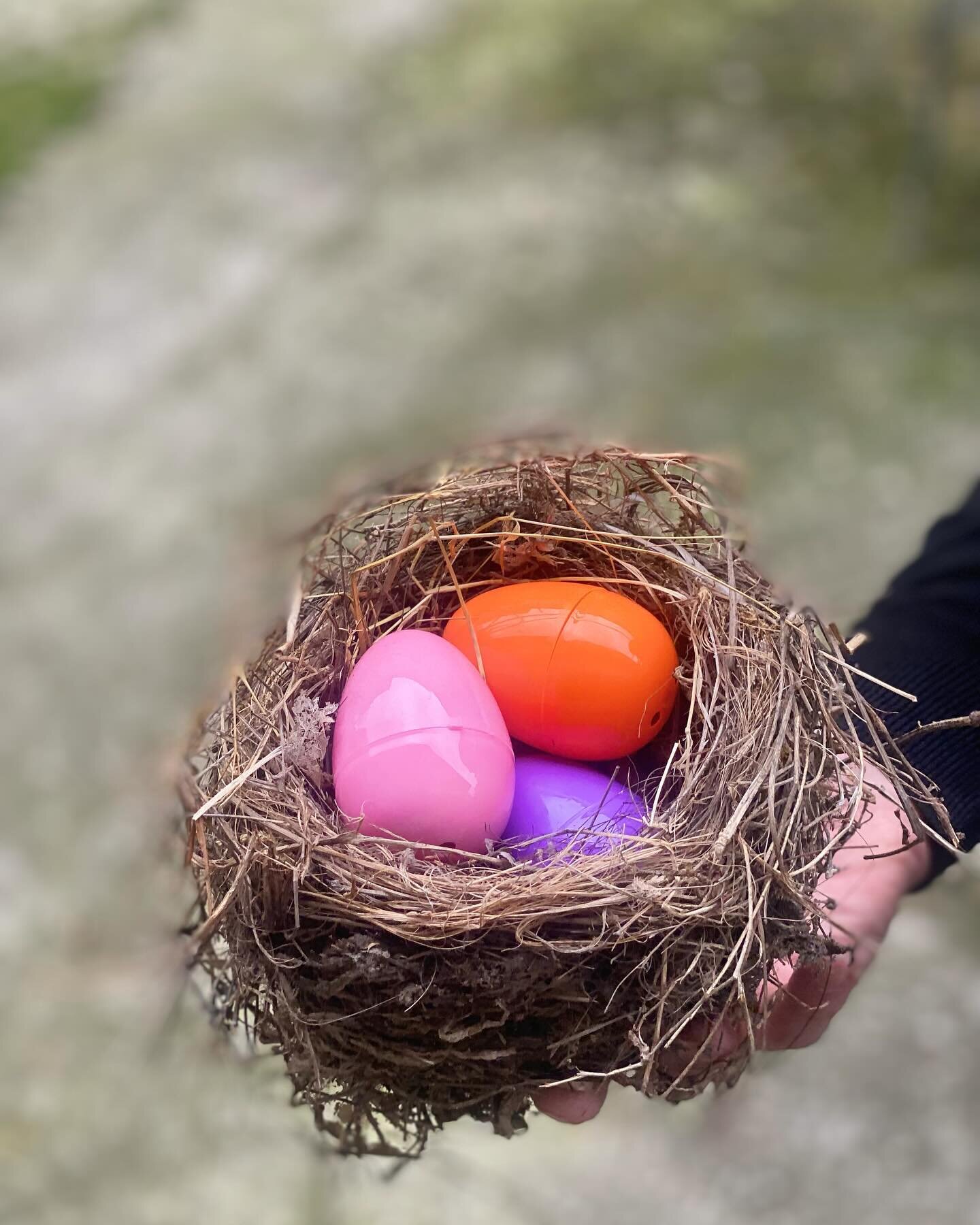 Com&rsquo;&egrave; andata l&rsquo;Easter Egg Hunt? Ve la raccontiamo con la filastrocca usata per gli indizi. 300 uova nascoste, 20+ piccoli e piccole partecipanti, un sacco di sorprese e una super merenda. 
Buona Pasqua 🥚🥰 di uova a tutti e tutte.