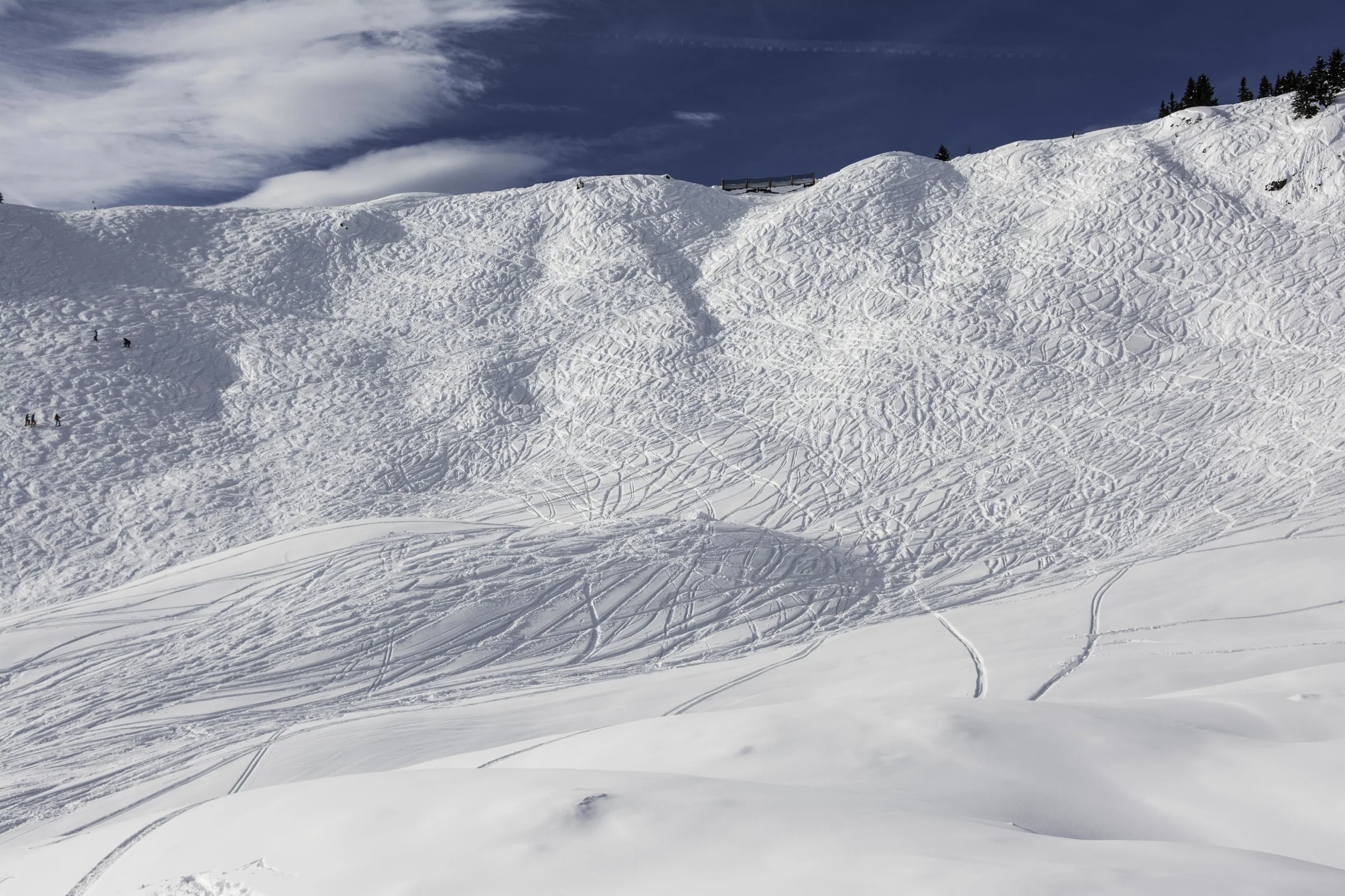 20150102-_LTP2921_Linus-Traber.jpg