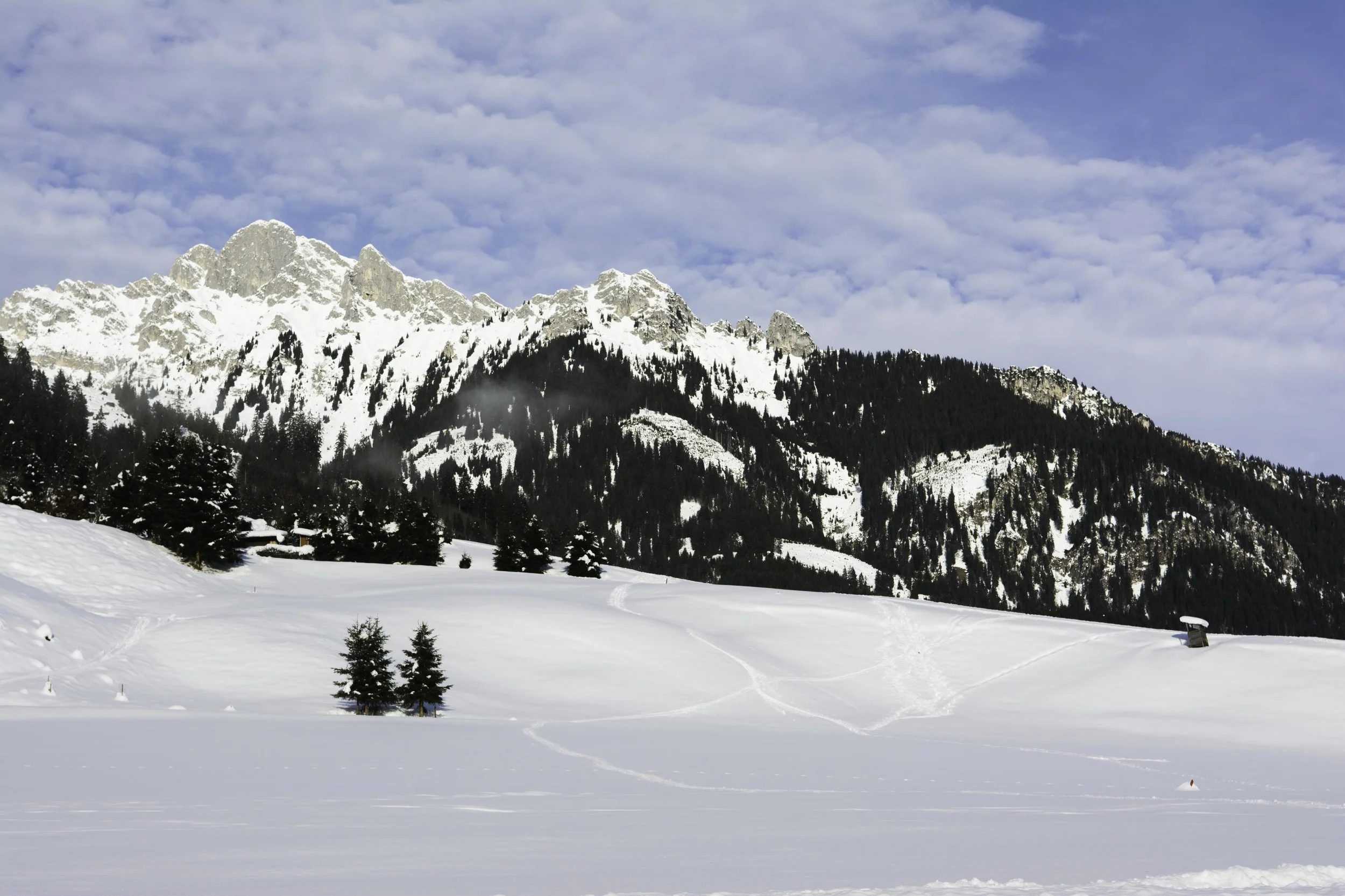 20150102-_LTP2893_Linus-Traber.jpg
