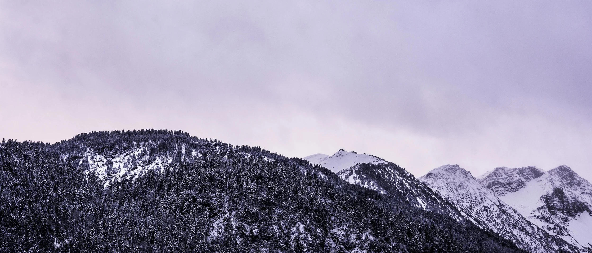20141227-_LTP2630_Linus-Traber.jpg