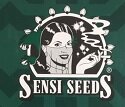 SENSI SEEDS