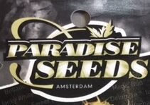 PARADISE SEEDS