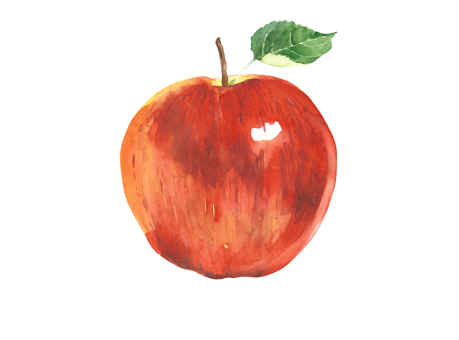 kristin-lawless-apple.jpg