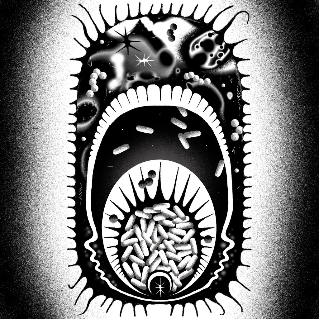 The Bacteria Babies Need