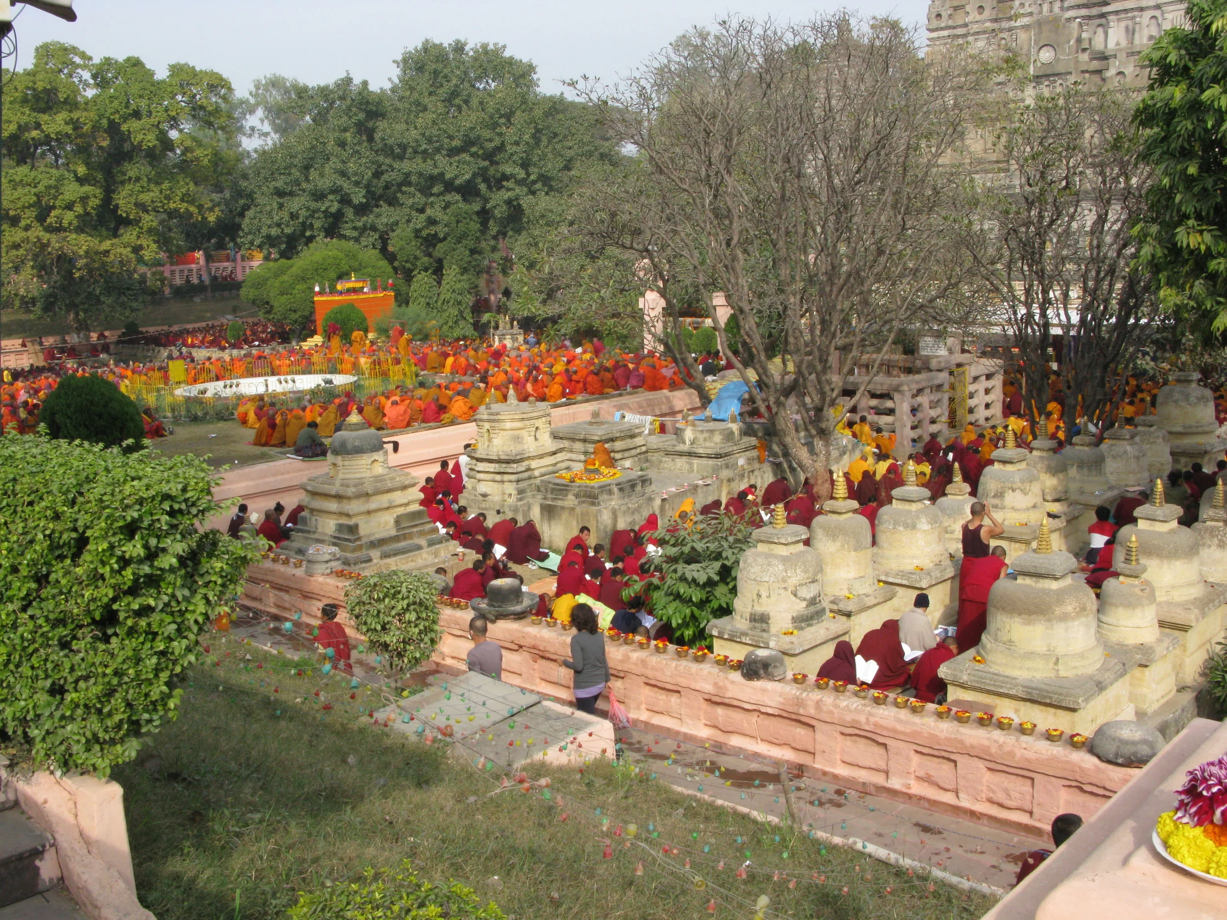 IMG_0017 copy.JPG