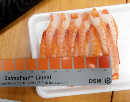 Salmofan Color Chart