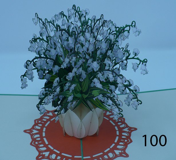 100.jpg