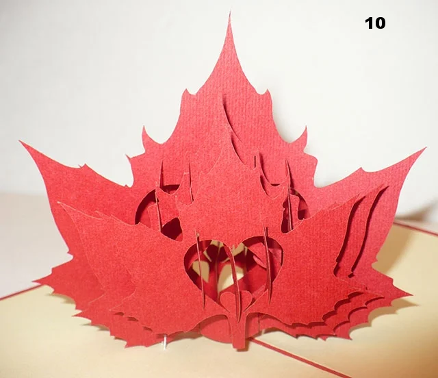 Canada's flag.jpg
