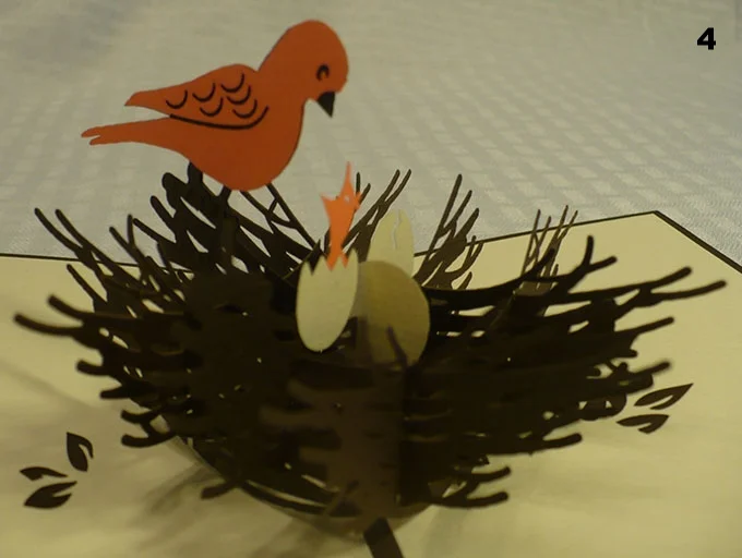 Bird 2.jpg