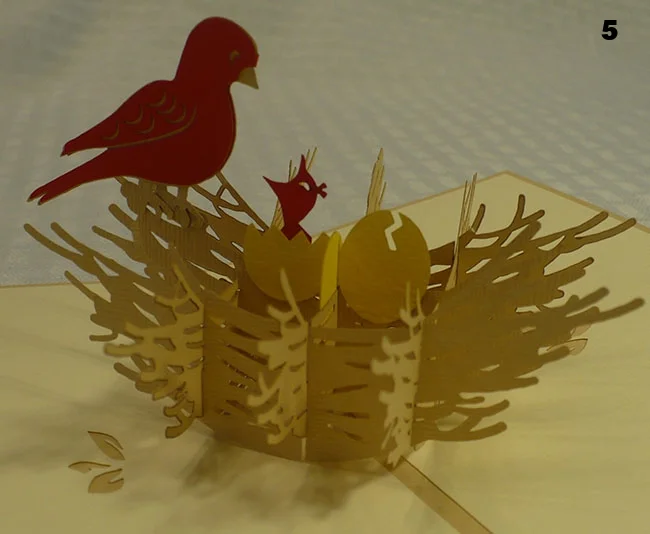 Bird 1.jpg
