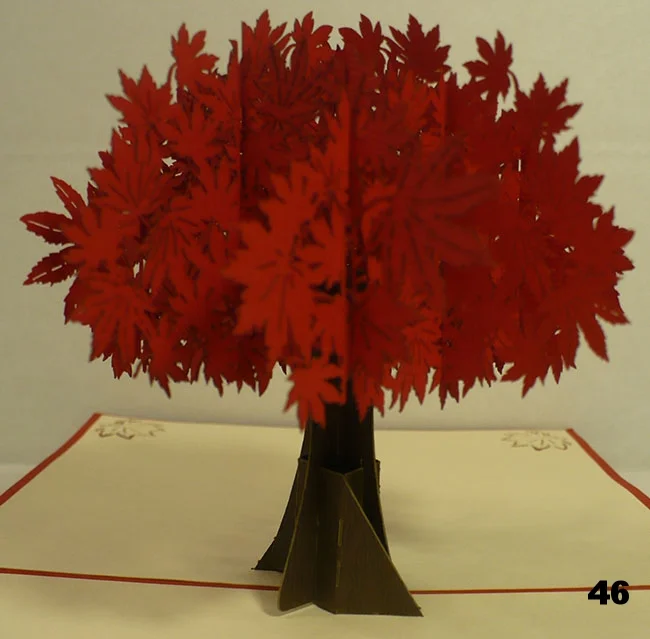 Maple tree 2.jpg
