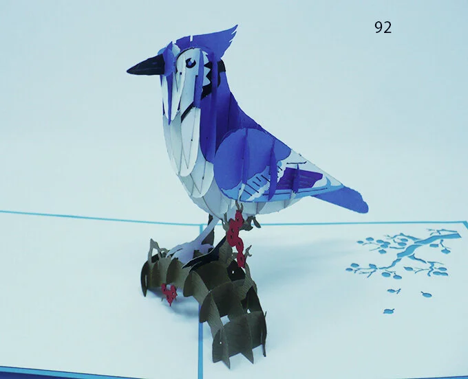bird 7.jpg