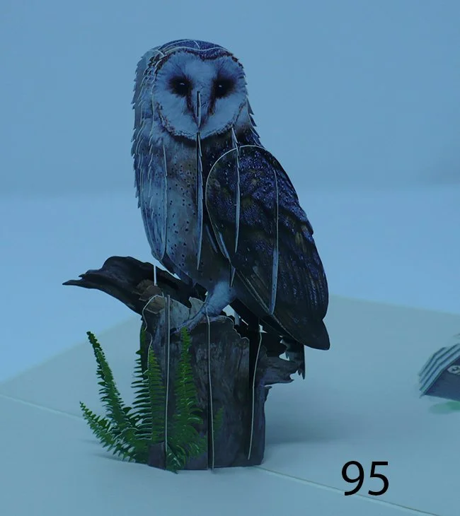 Owl 1.jpg