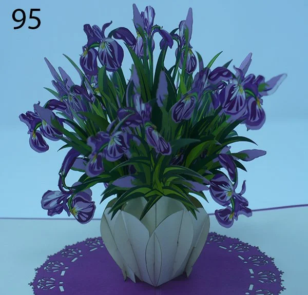 95.jpg