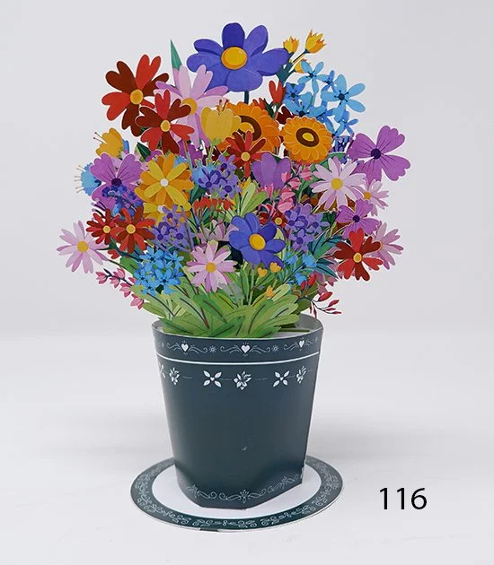 116.jpg