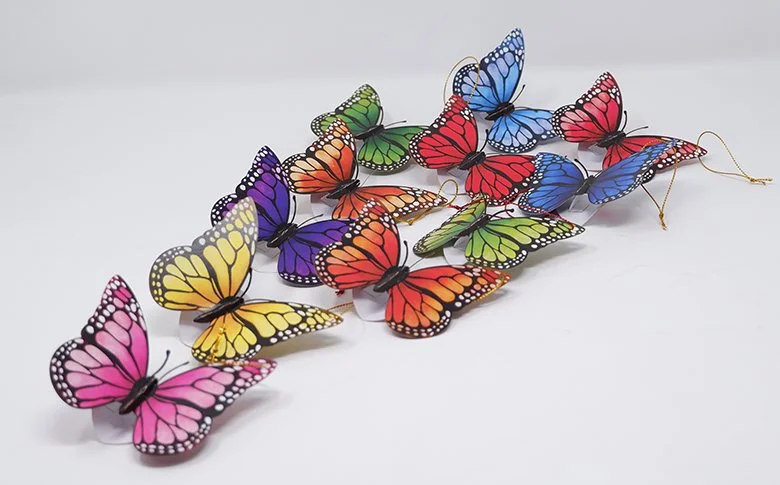 Butterflies.jpg