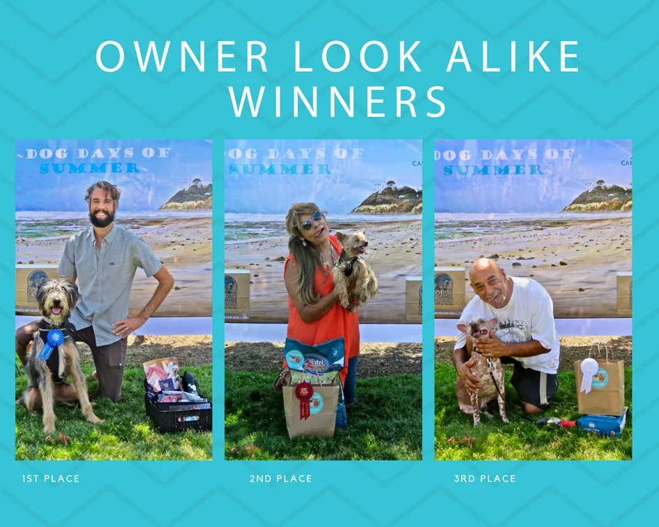 dog days of summer dog contest(1).jpg