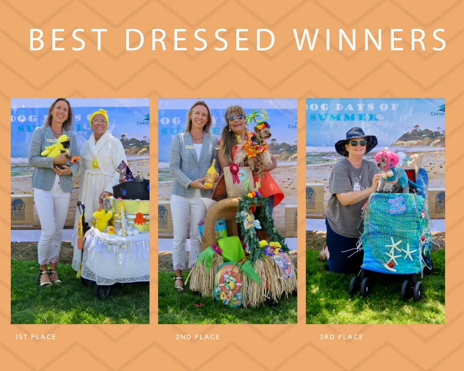 dog days of summer contest.jpg