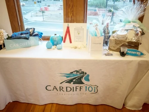Cardiff 101 Member Mixer-6.jpg