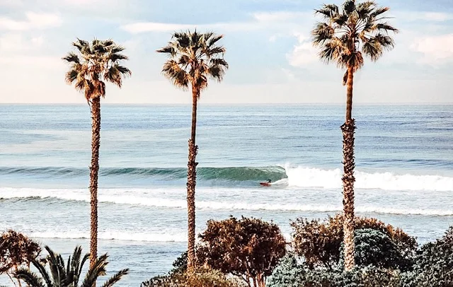 Meet Our Program Director, Alison!