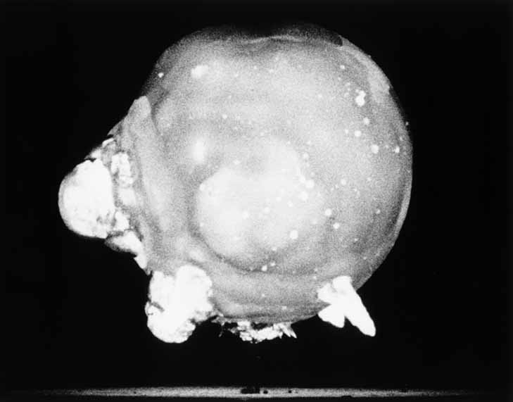A hydrogen bomb, at the instant of ignition, photographed by Egerton's Rapatronic camera in the 1950s
