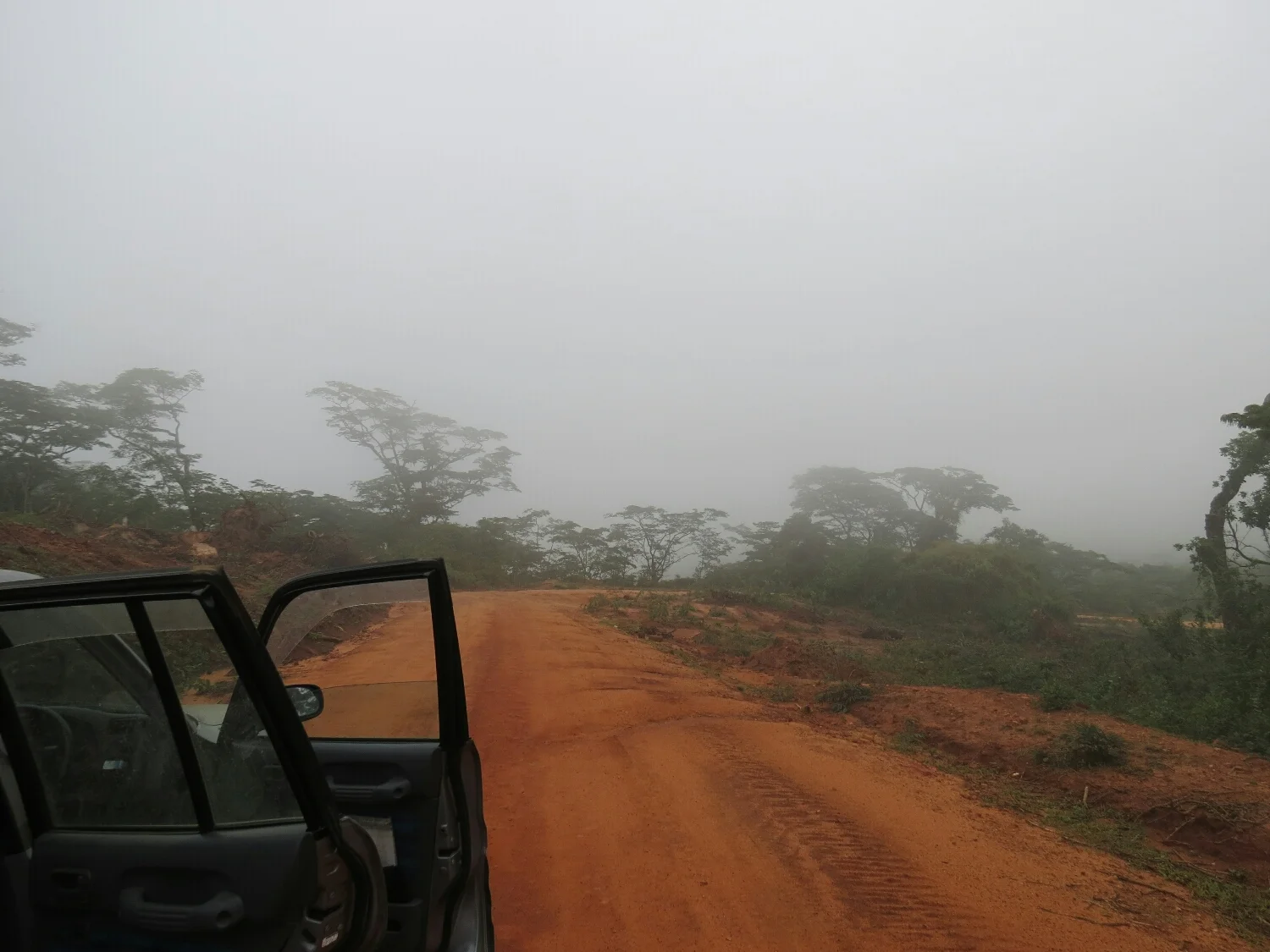 The cloud forest drive from Babati to Dodoma. 