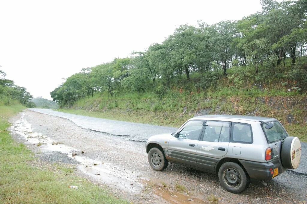 Pitstop botany! Photo: K. Fleurial