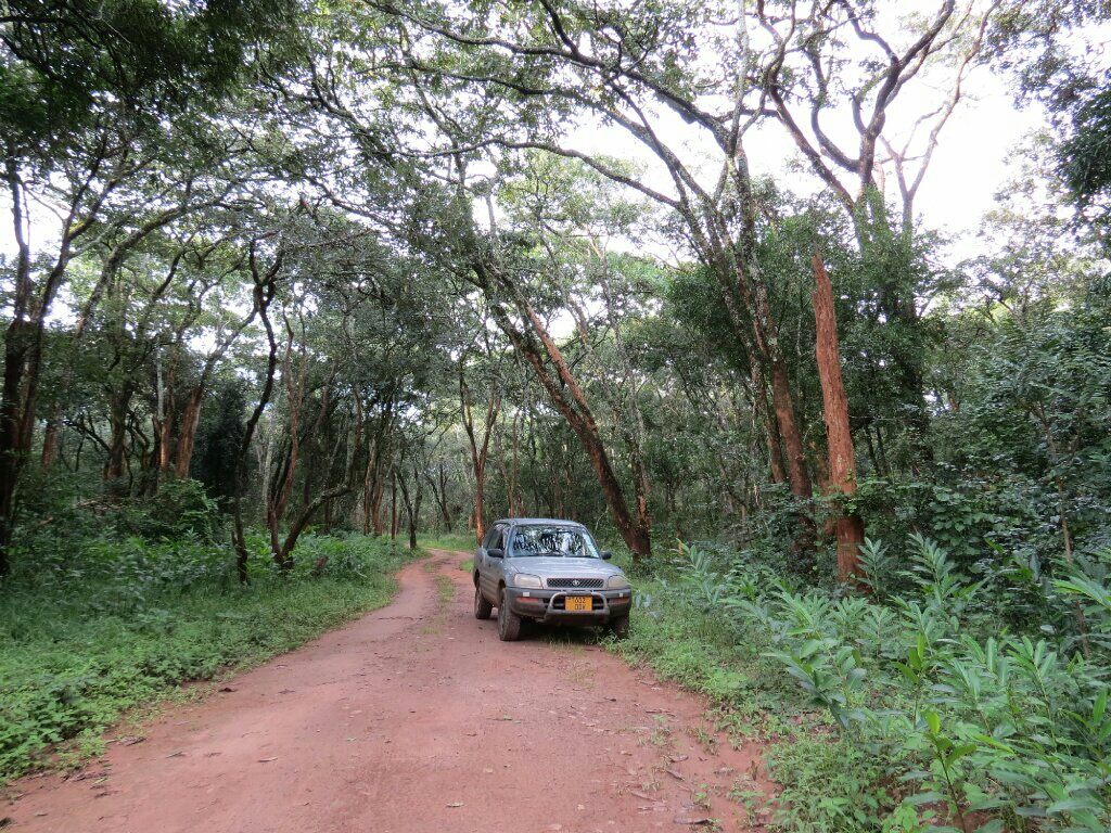 Driving around Nsobe camp.