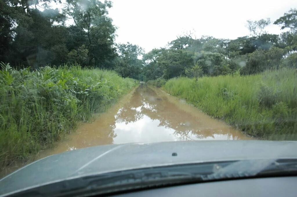 A section of the road leaving Chimfunshi. Photo: K. Fleurial