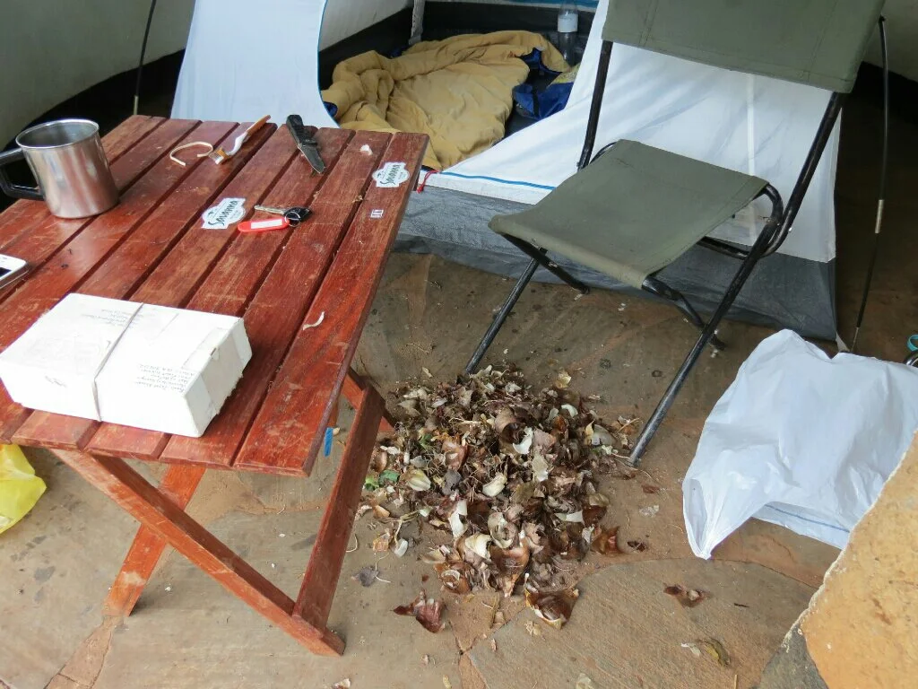 The bulb cleaning aftermath.