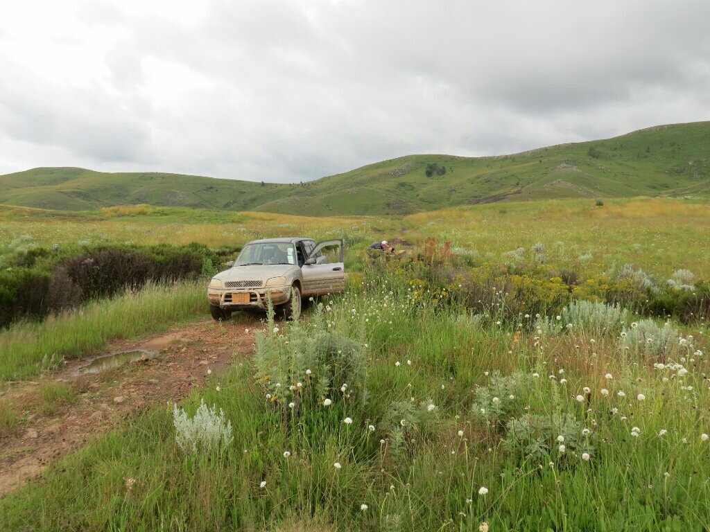 Driving through Kitulo.