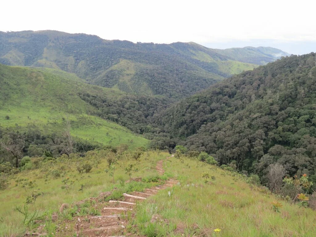The very steep hike to the waterfall.