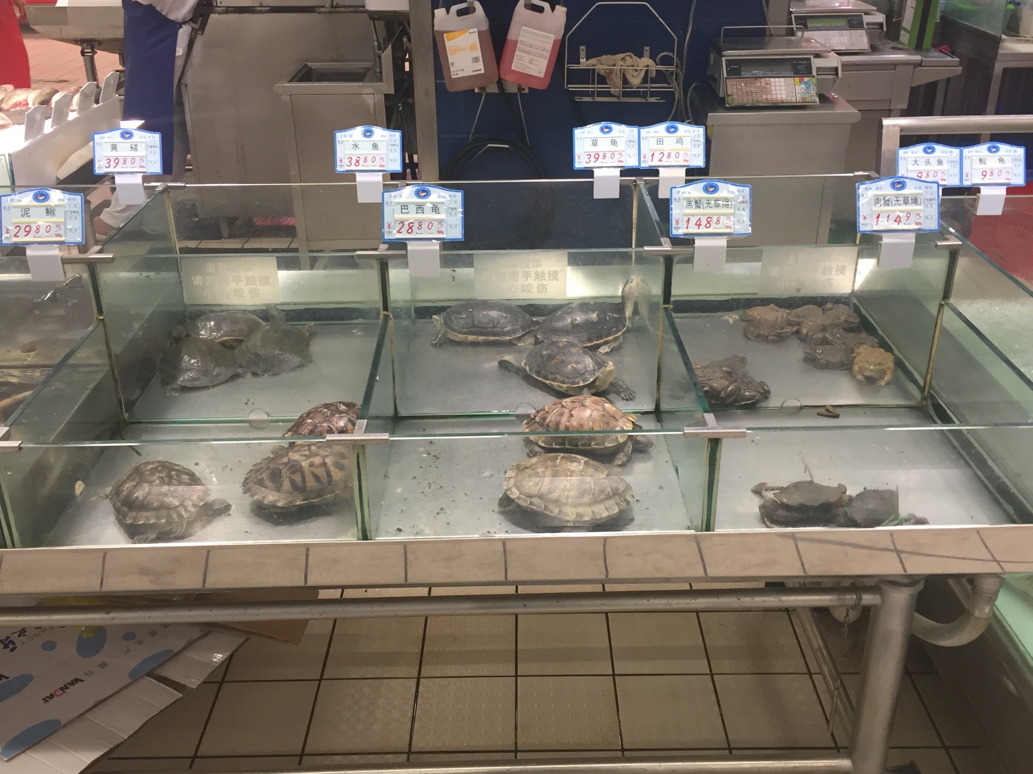 Store: RT Mart