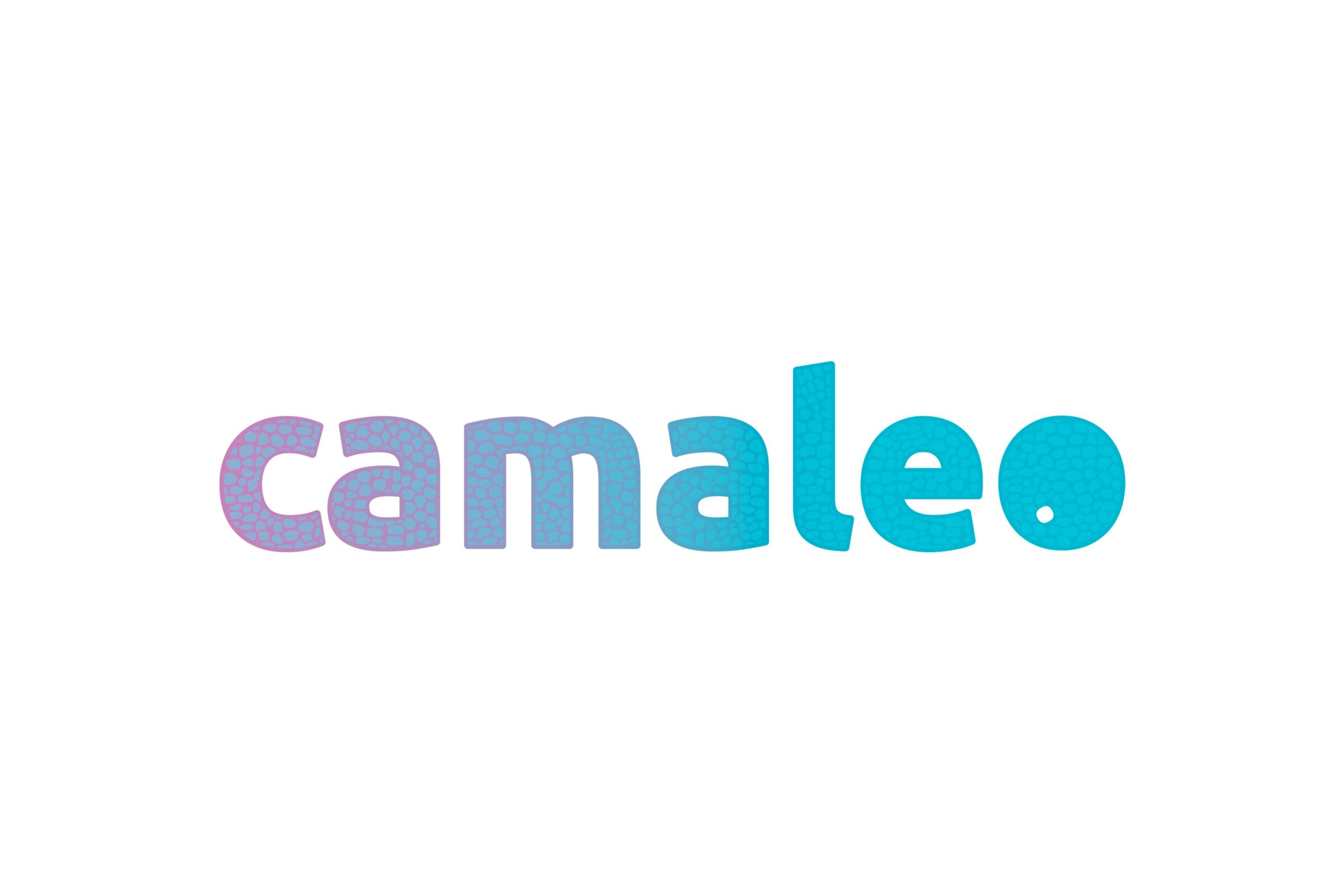 web-camaleo.jpg