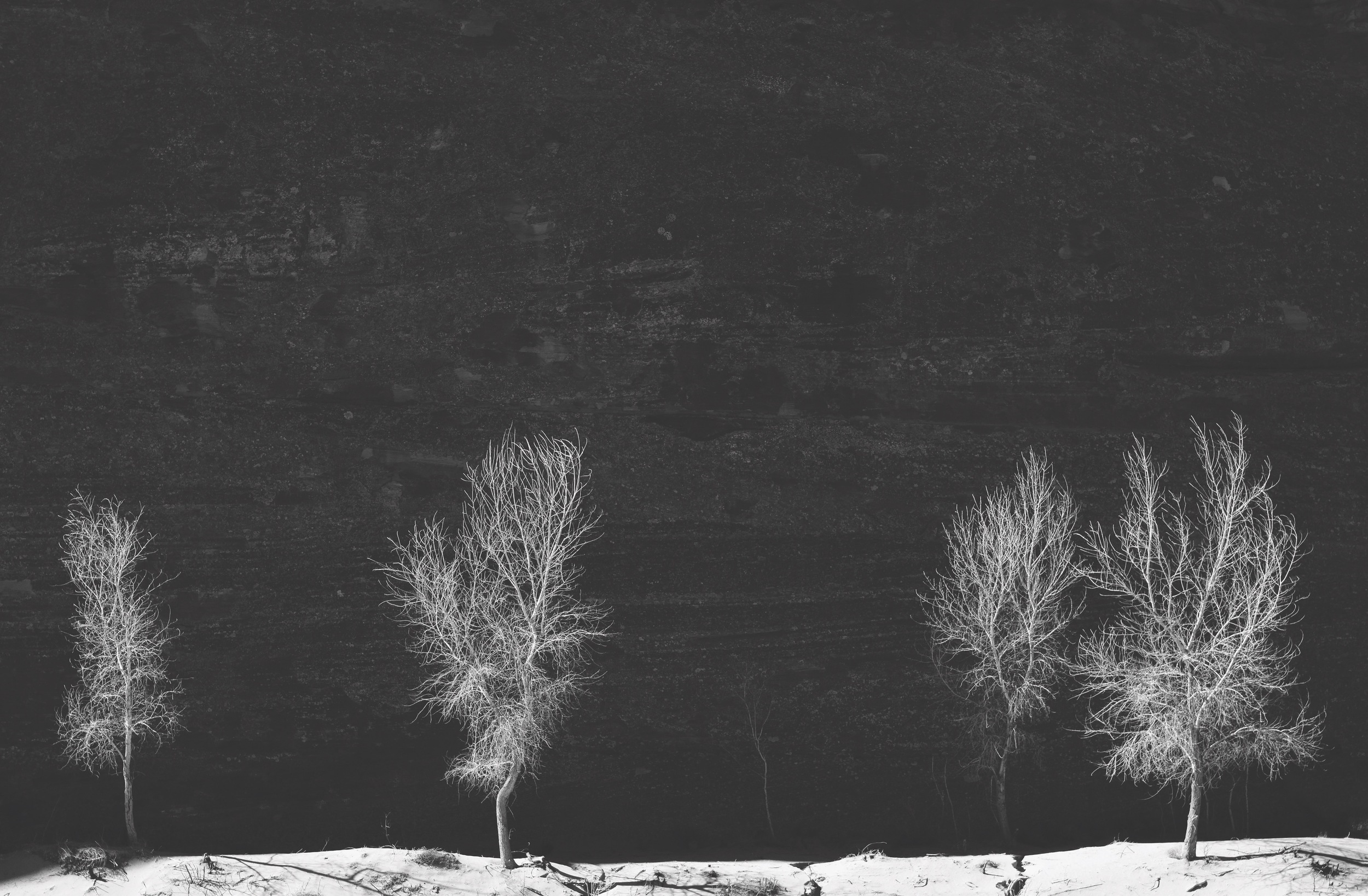 _DSC3401b&w.jpg