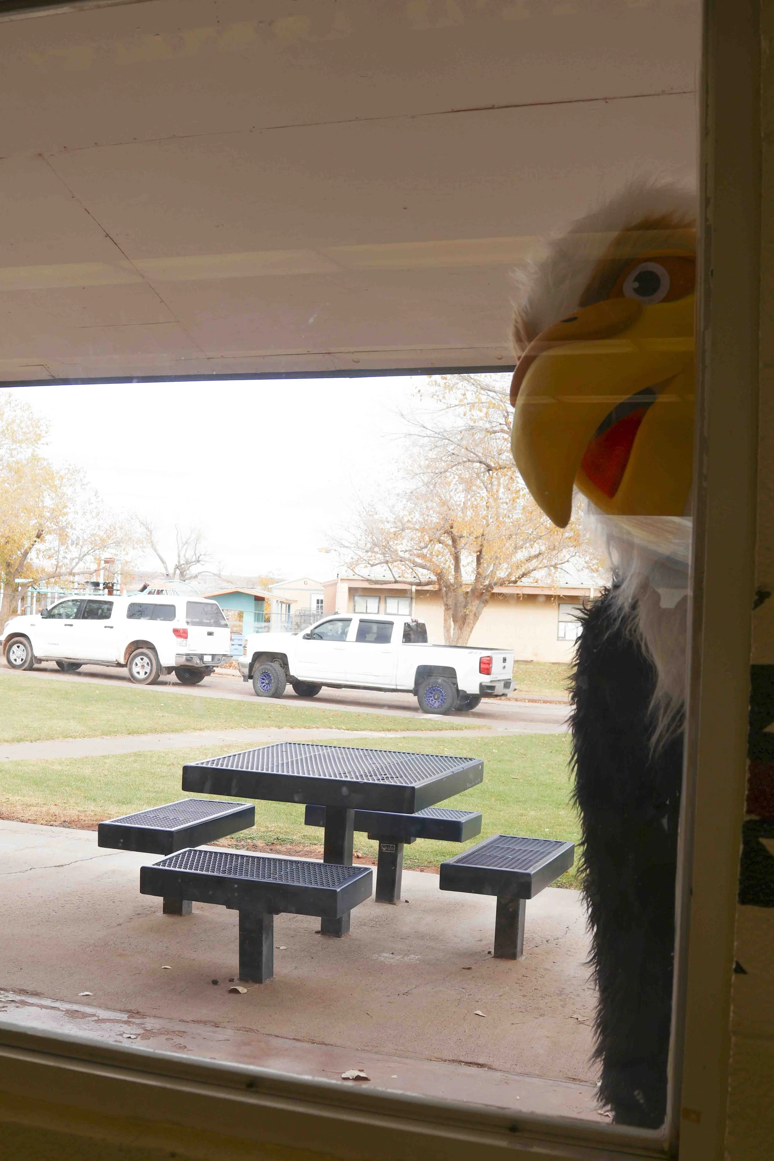 Eli Peeking Into Caf_Thanksgiving Banquet.jpg