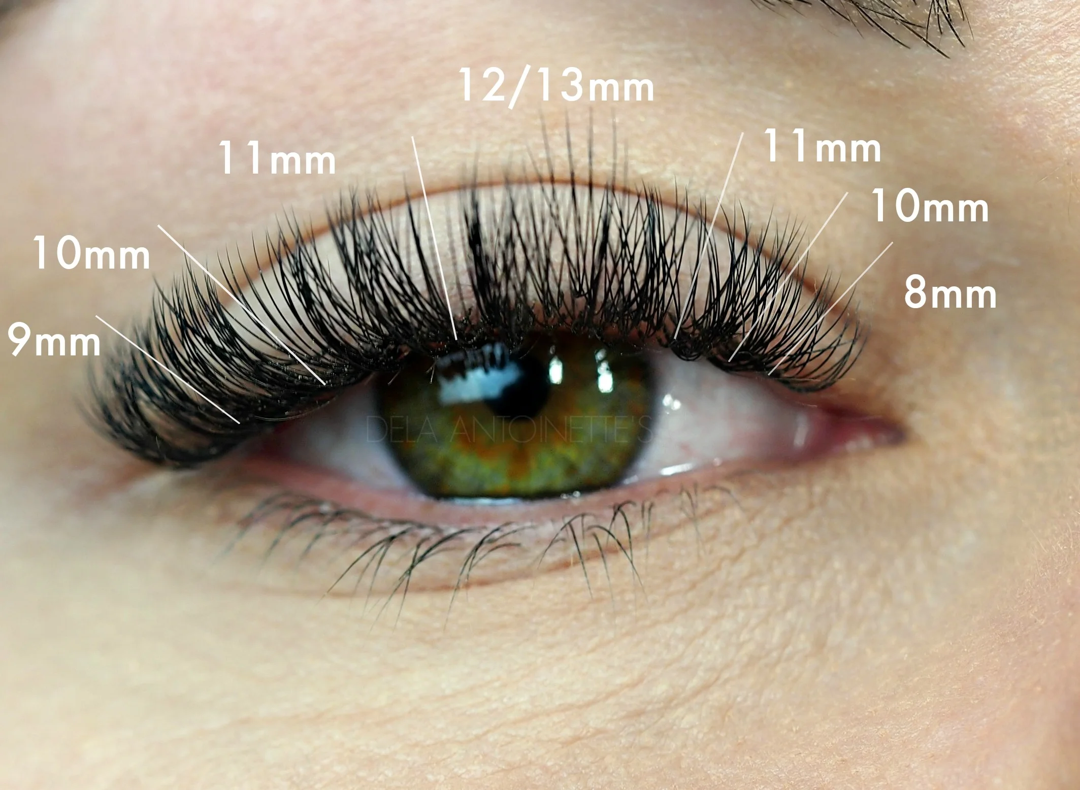 C Curl Lashes in .10 2-3D