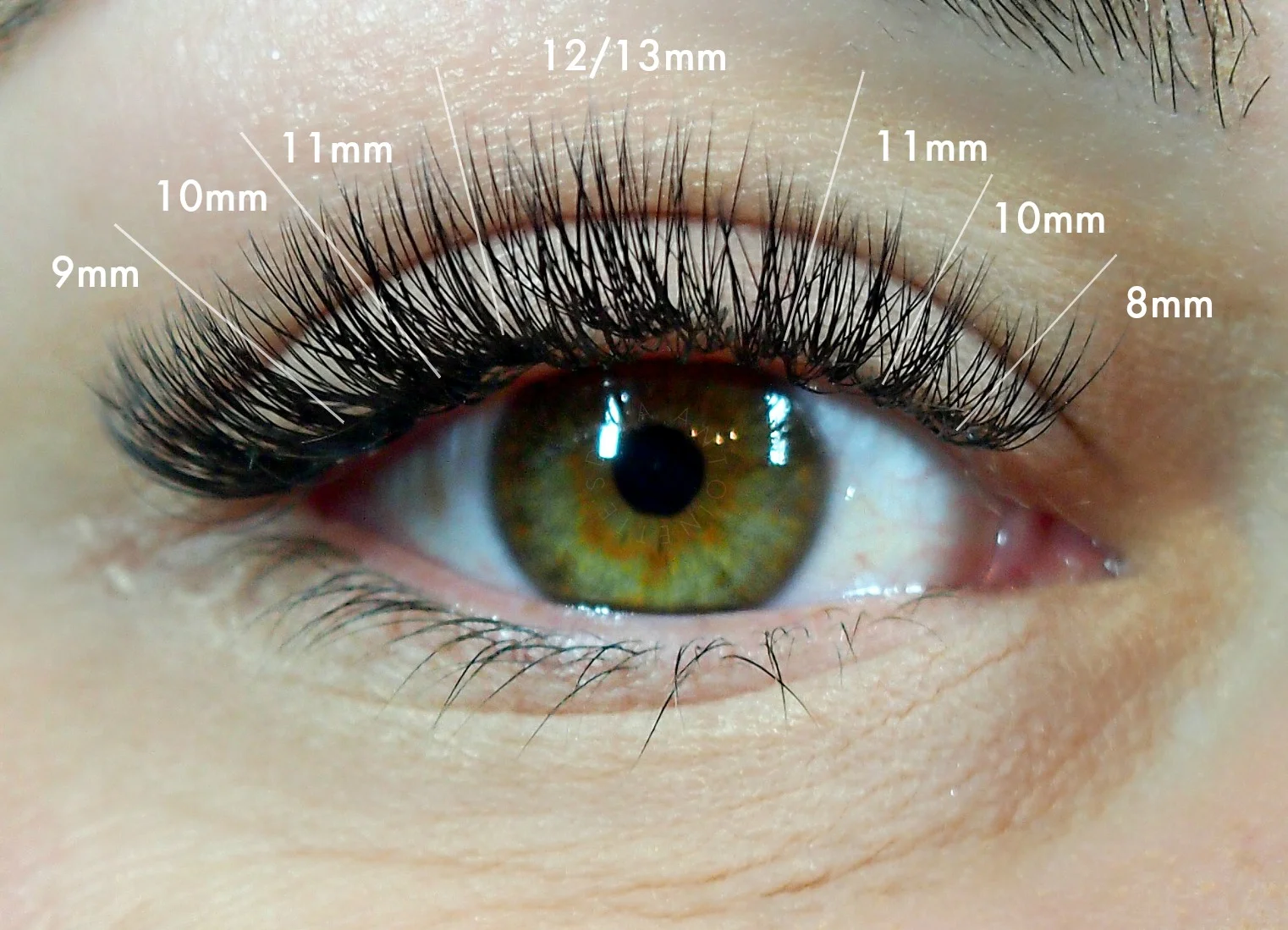 B Curl Lashes in .10 2-3D