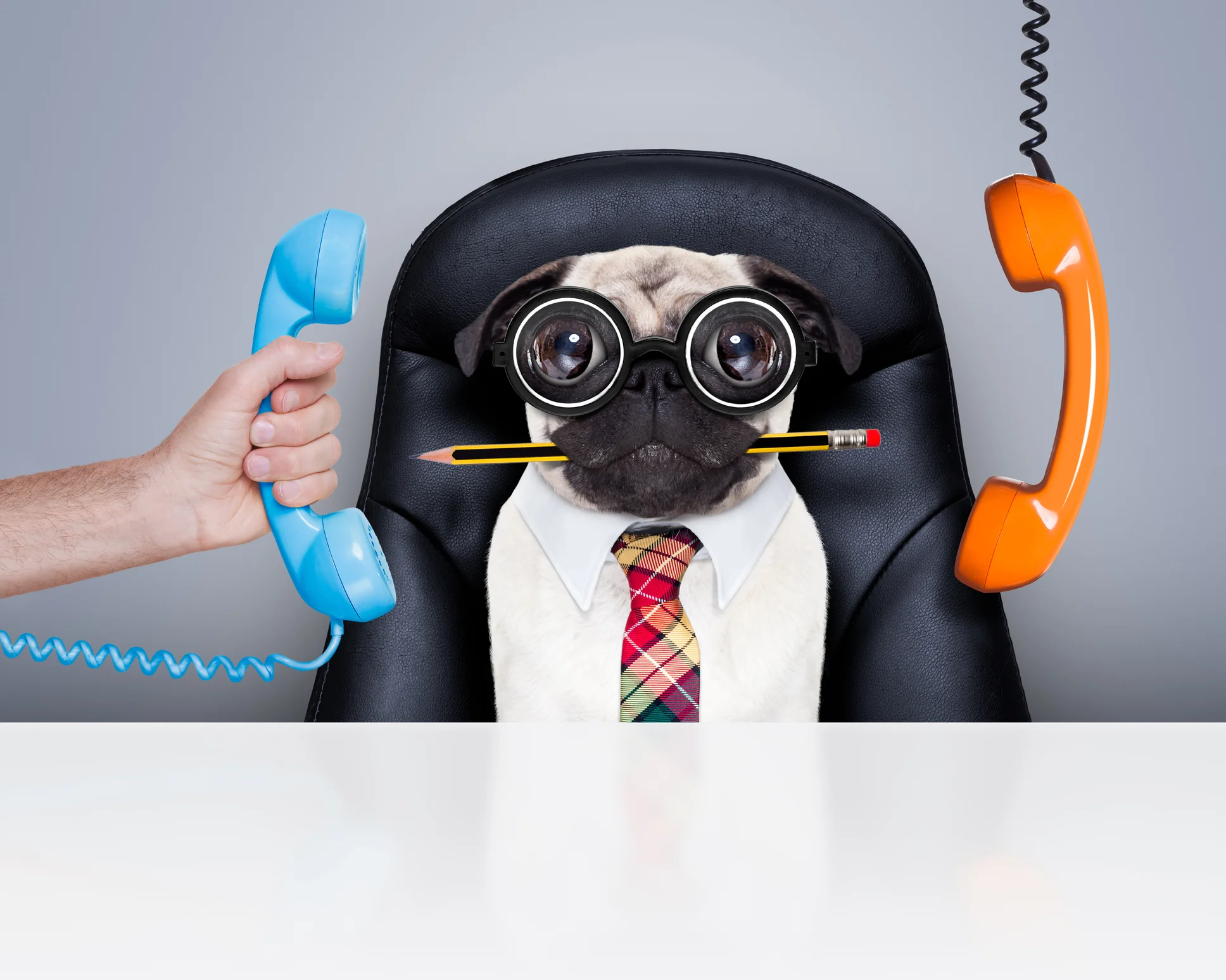Why You Need a Separate Phone Number for Your Business 