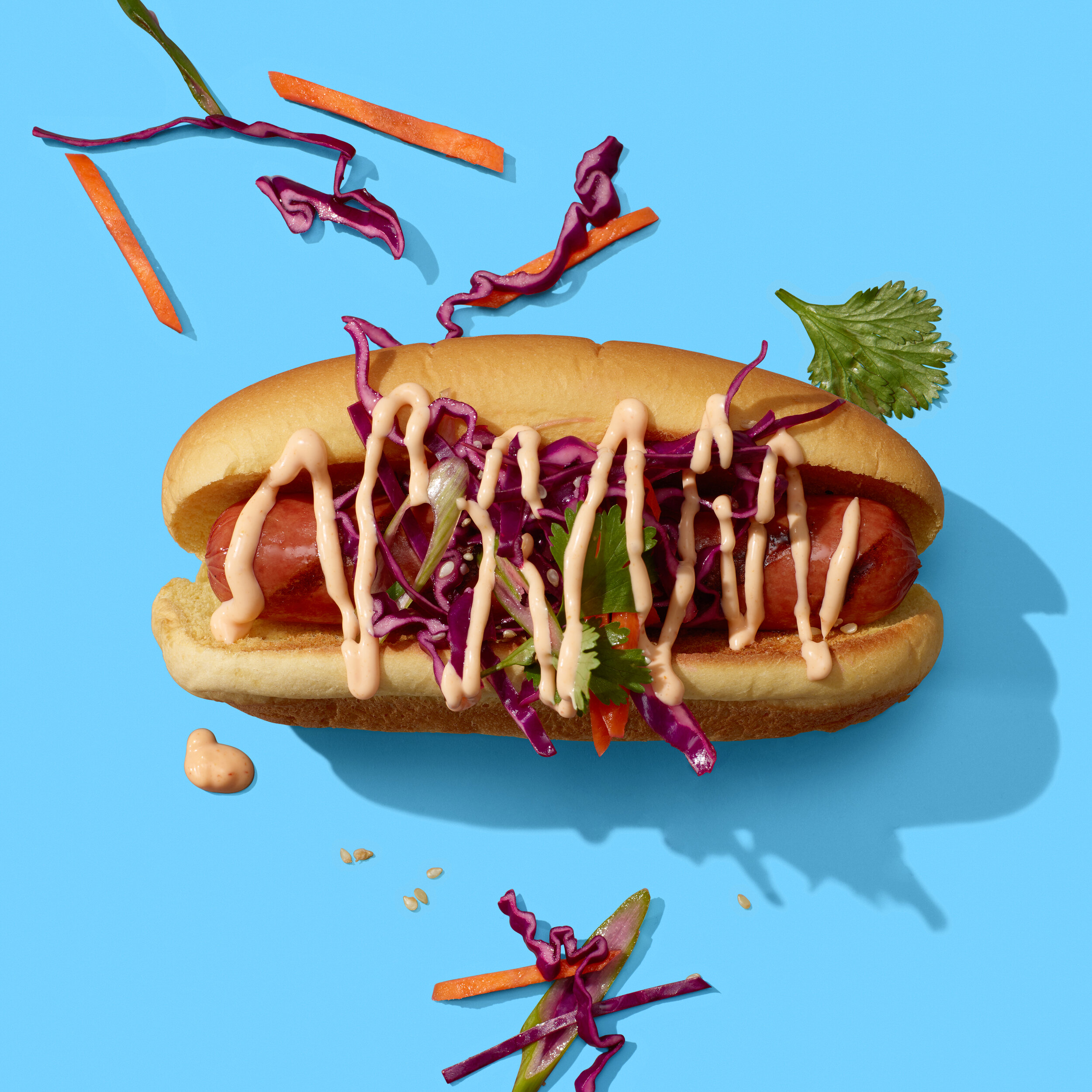 02_Deck_Hotdog_AsianSlaw_Sriracha_020 (1).jpg