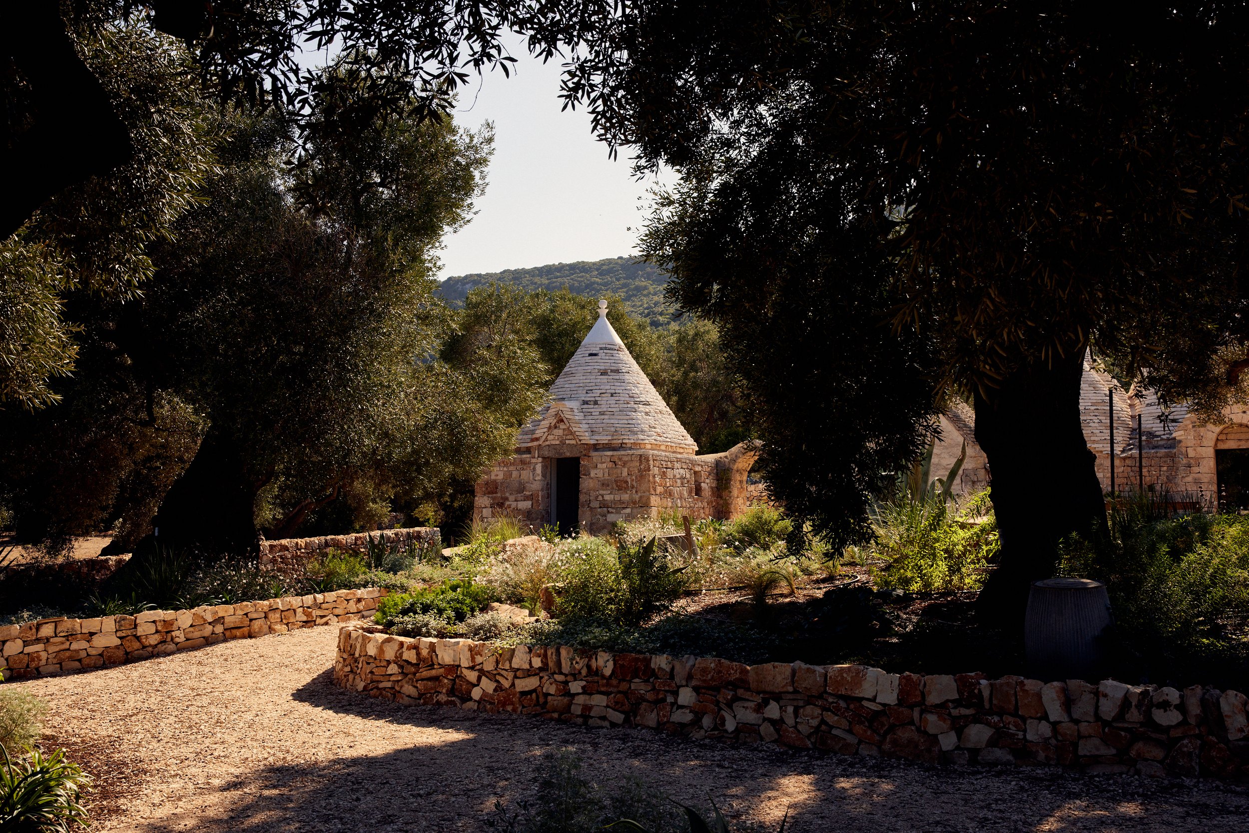 Trulli_Ulivi_Day_1_030.jpg