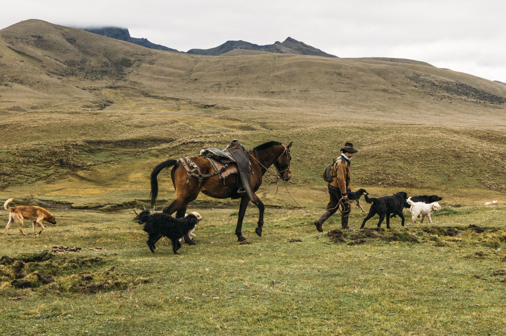 Screenshot 2025-05-15 at 2.47.27 PM.png