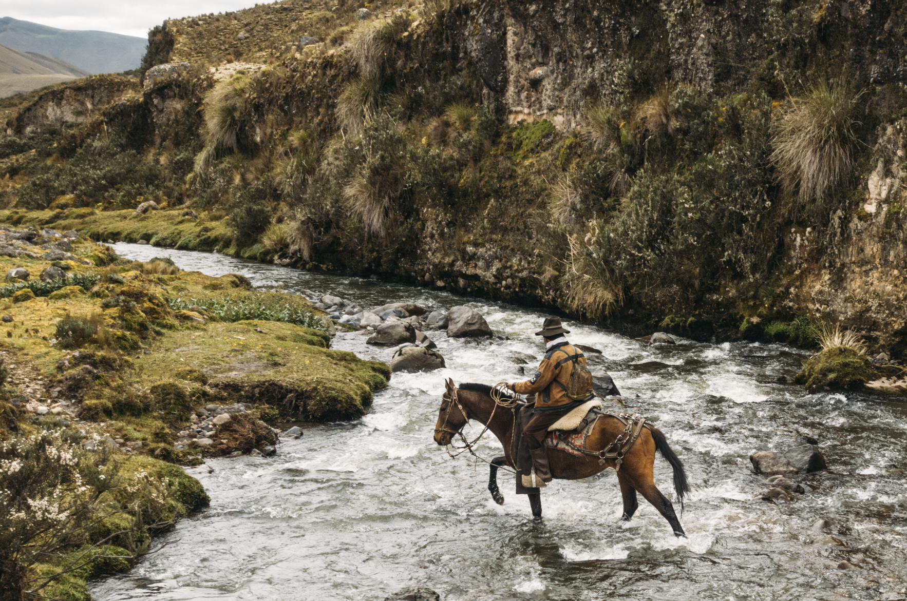 Screenshot 2025-05-15 at 2.47.10 PM.png