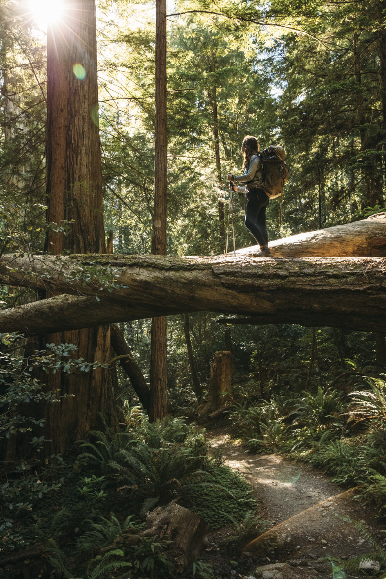 Screenshot 2025-05-15 at 2.43.11 PM.png