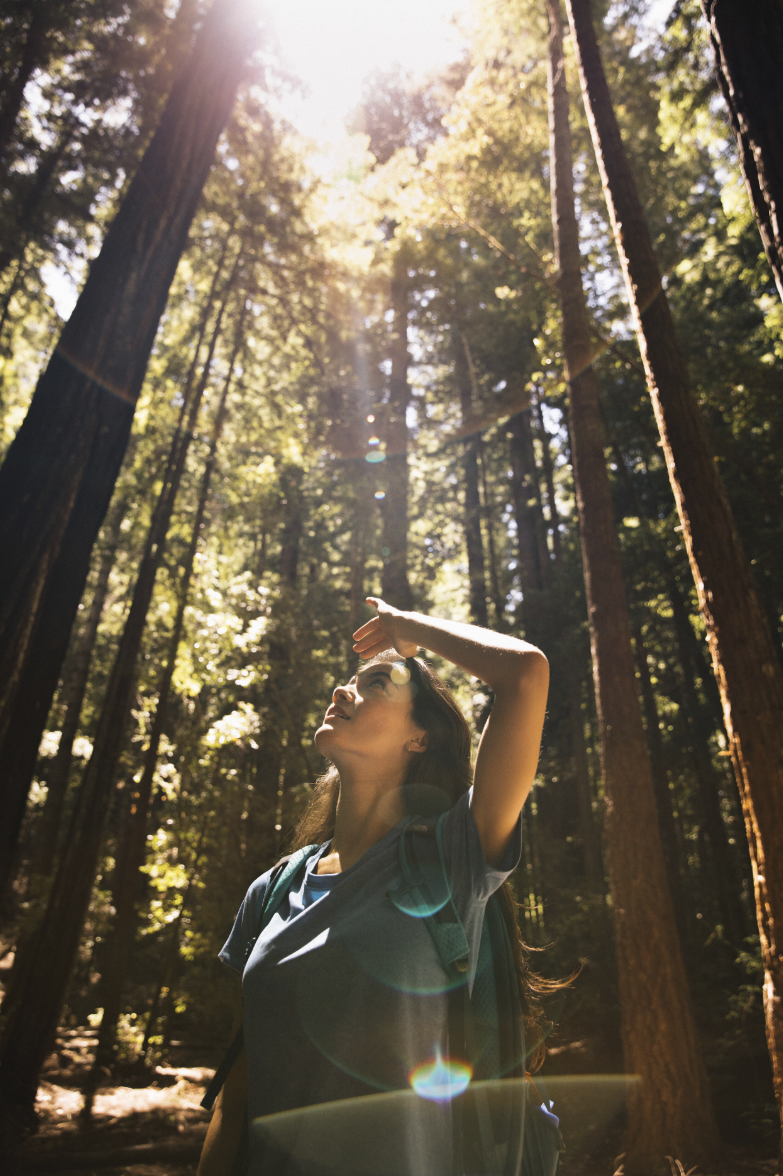 Screenshot 2025-05-15 at 2.39.29 PM.png