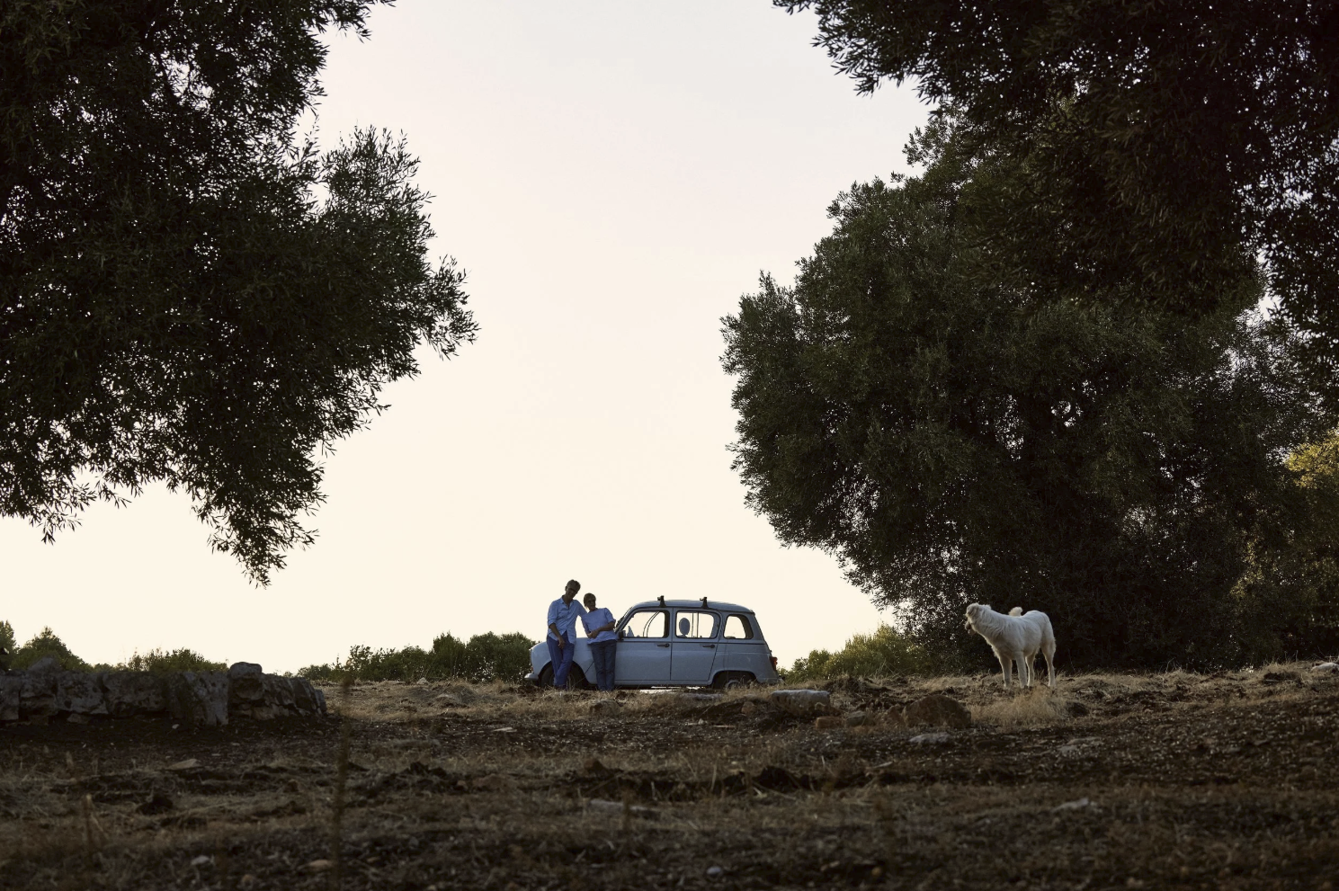 Screenshot 2026-01-21 at 11.16.12 AM.png