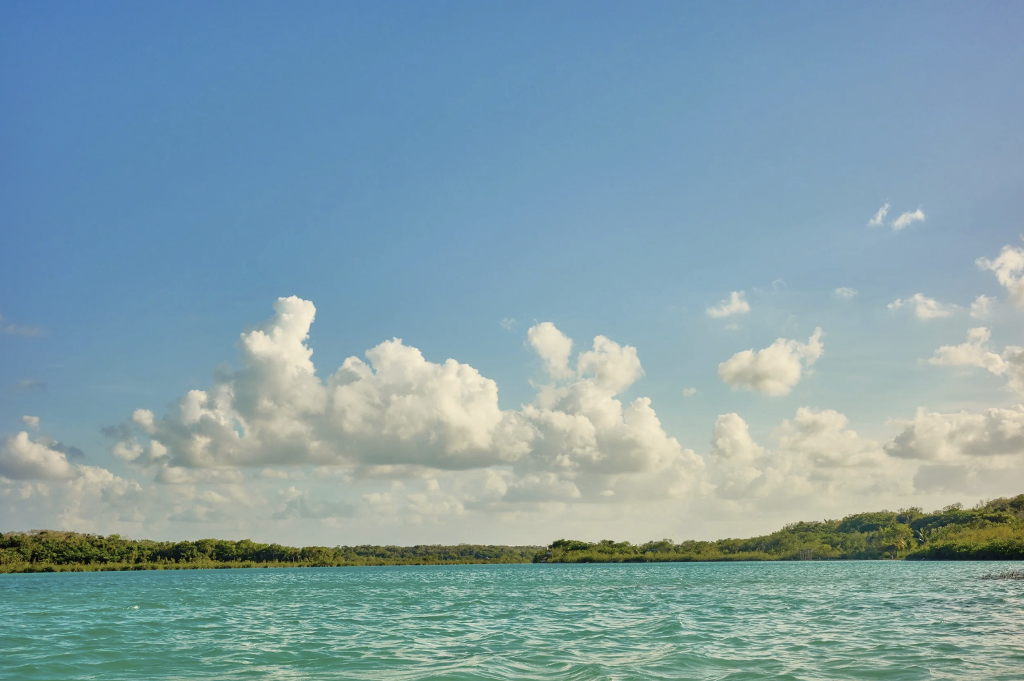 Screenshot 2026-01-21 at 11.05.11 AM.png