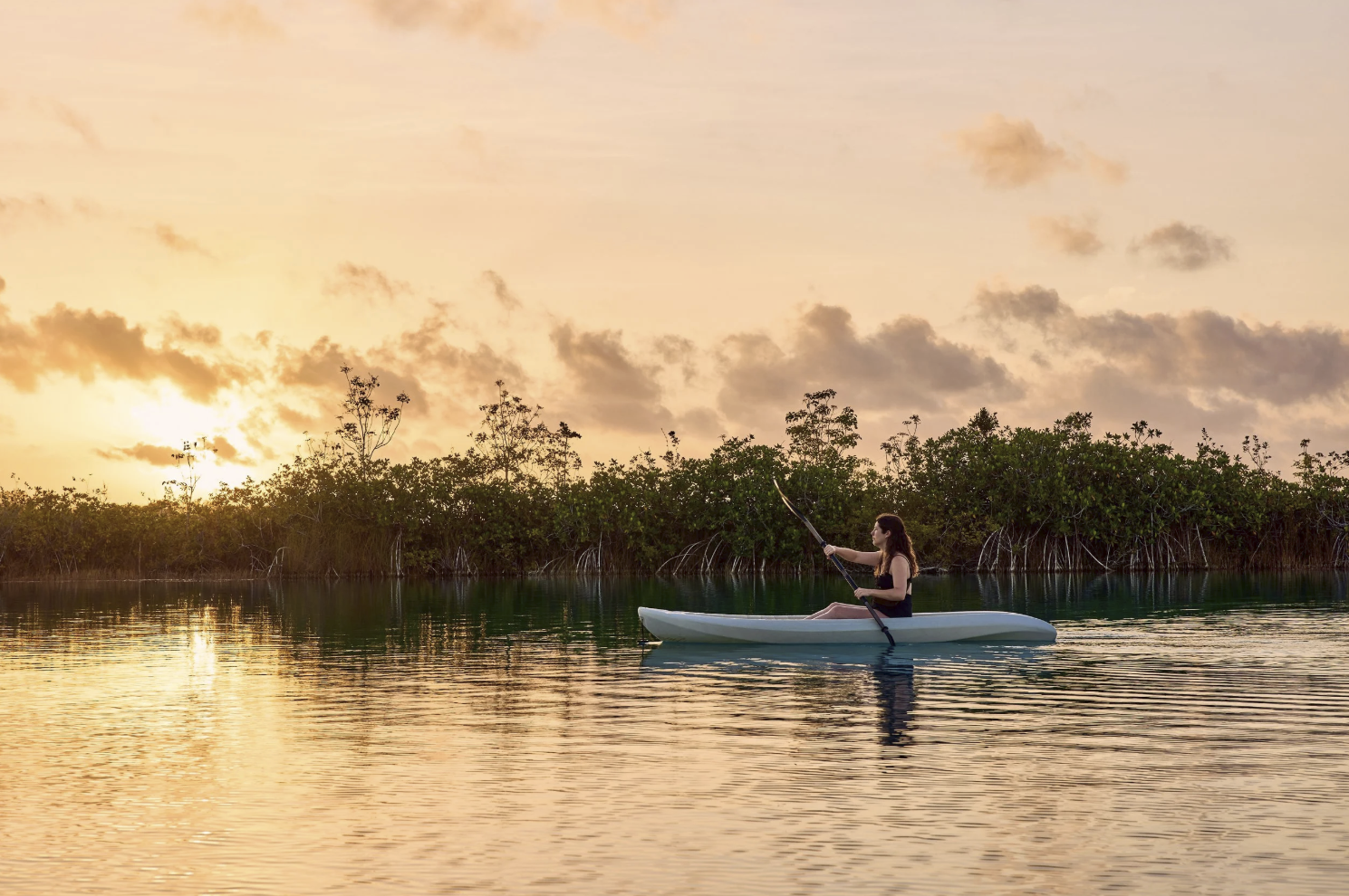 Screenshot 2026-01-21 at 11.05.28 AM.png