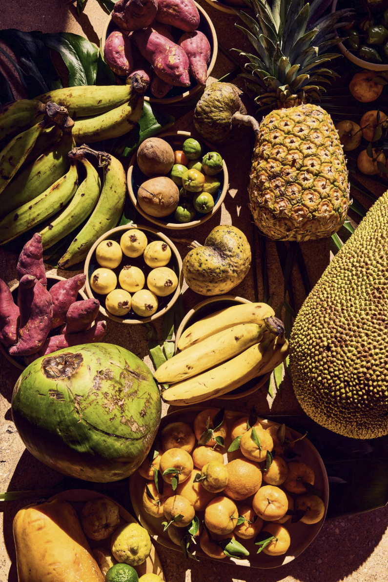 Screenshot 2026-01-21 at 11.05.41 AM.png