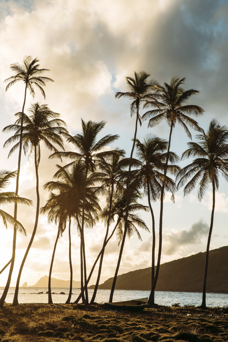 Screenshot 2026-01-21 at 11.08.37 AM.png